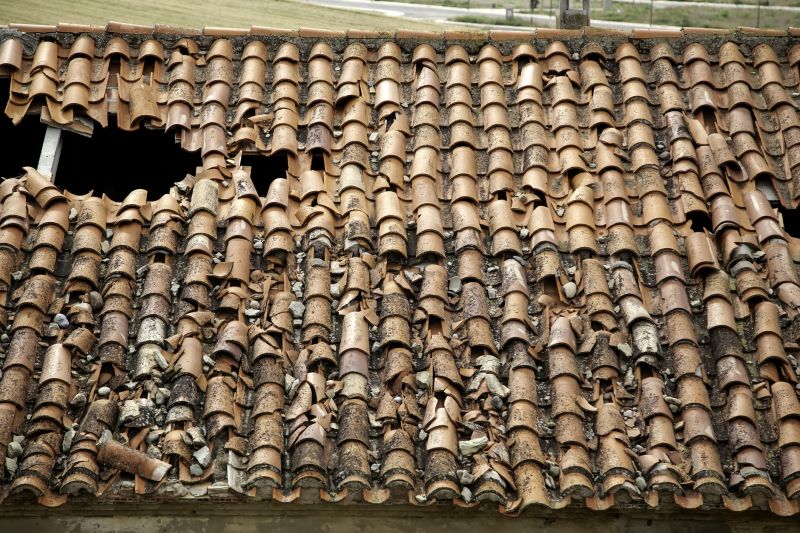 Damaged Roof Repair
